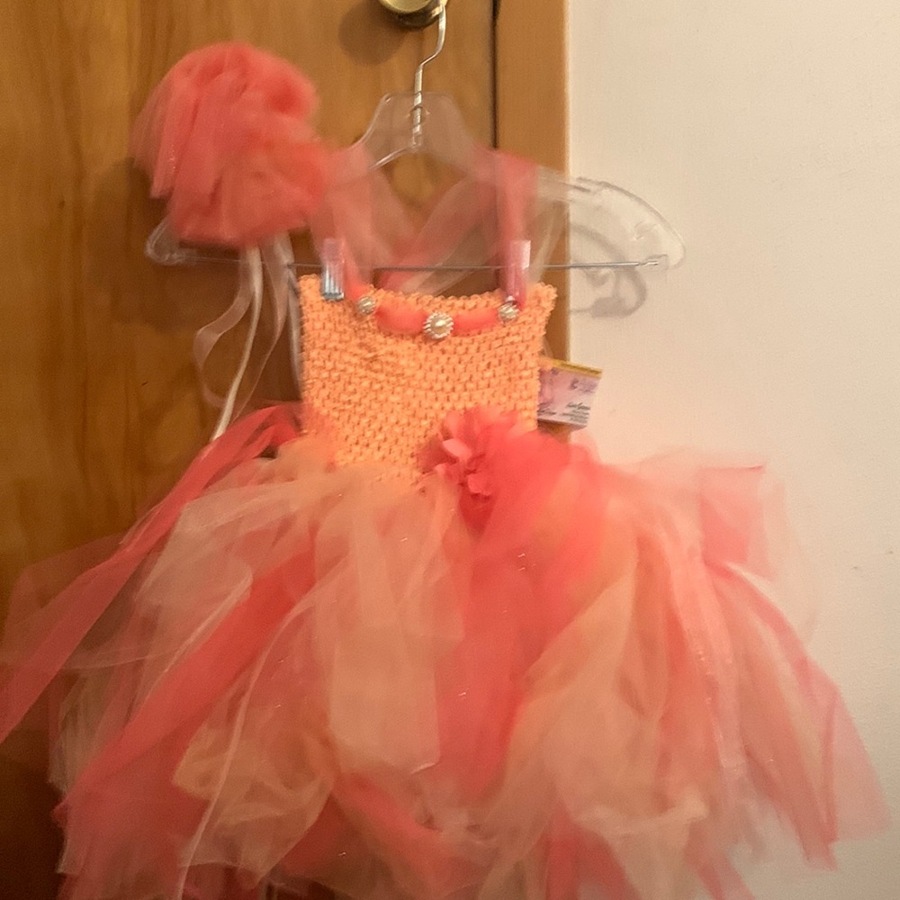 Fuzzy Duckling design dress with wand (brand new)